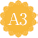 A3
