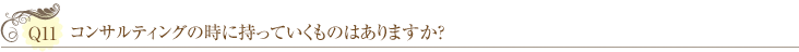 Ｑ11：コンサルティングの時に持っていくものはありますか？ 